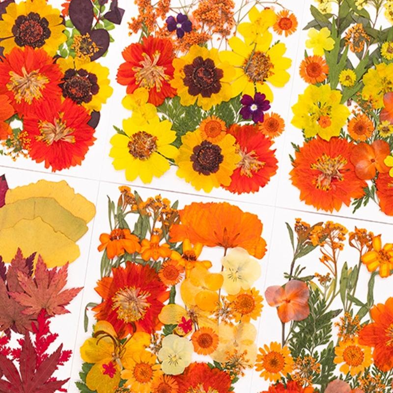 Art Craft With Leaves - Reçine Kalıpları için Kurutulmuş Preslenmiş Çiçek