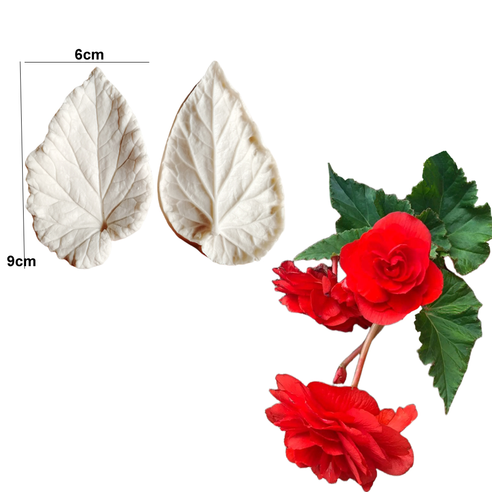 Begonya Köklü Damarlı Silikon  - Eco Art Craft incelemesi ve fiyatı